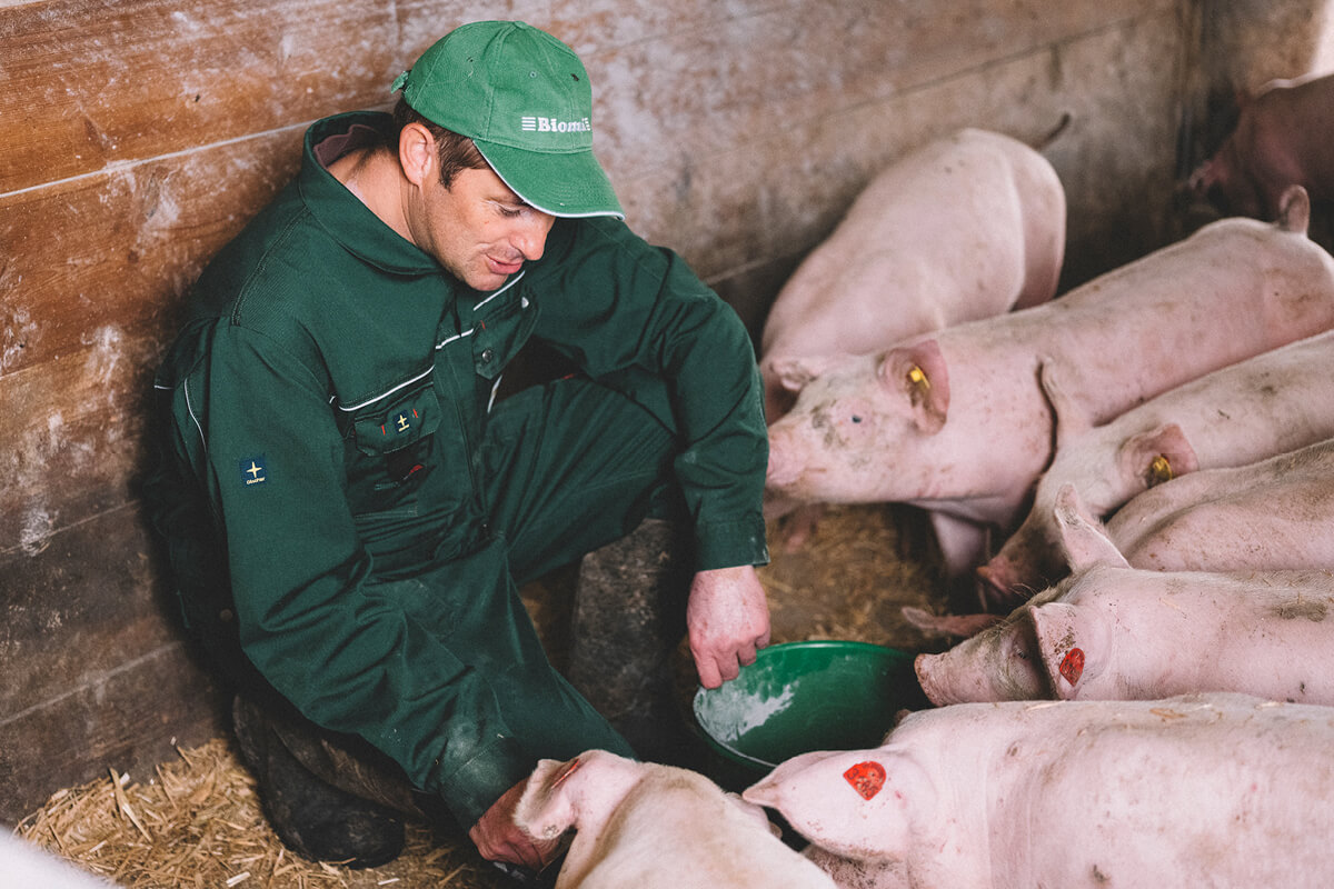 null null